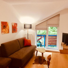  Apartment Safran  Доновалы